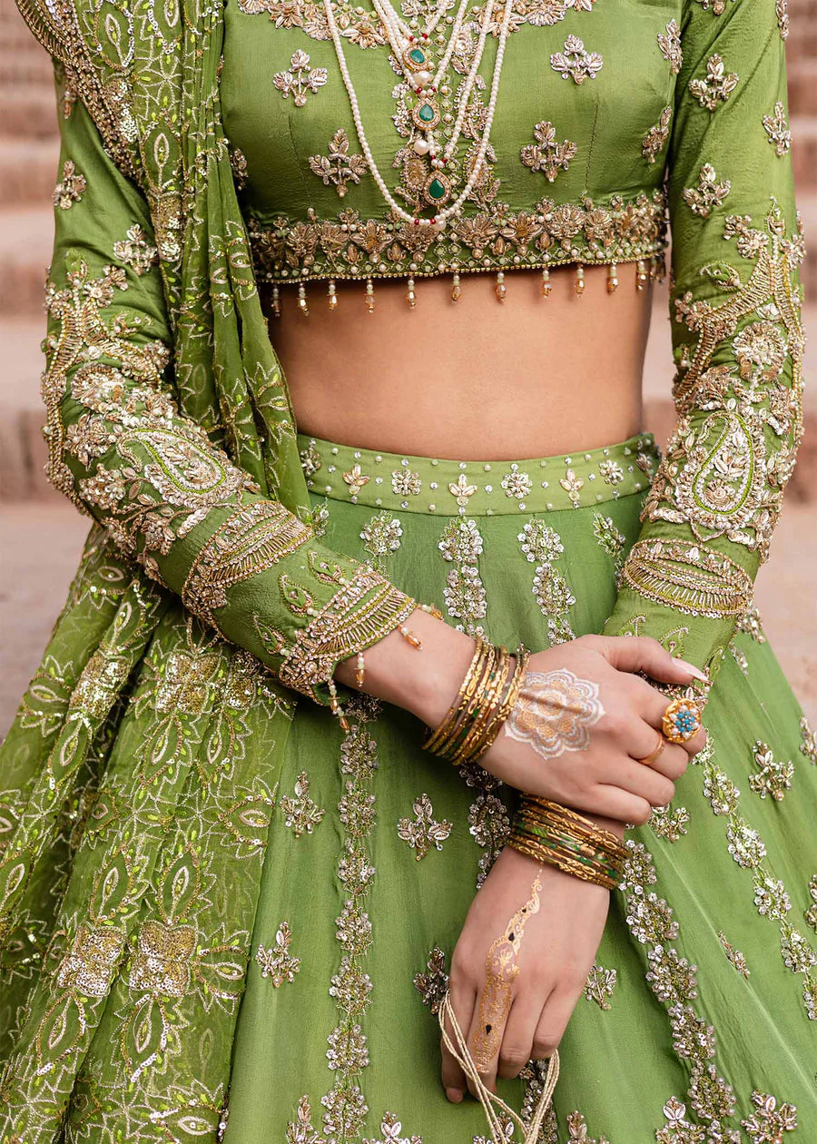 Akbar Aslam - Nashmira
