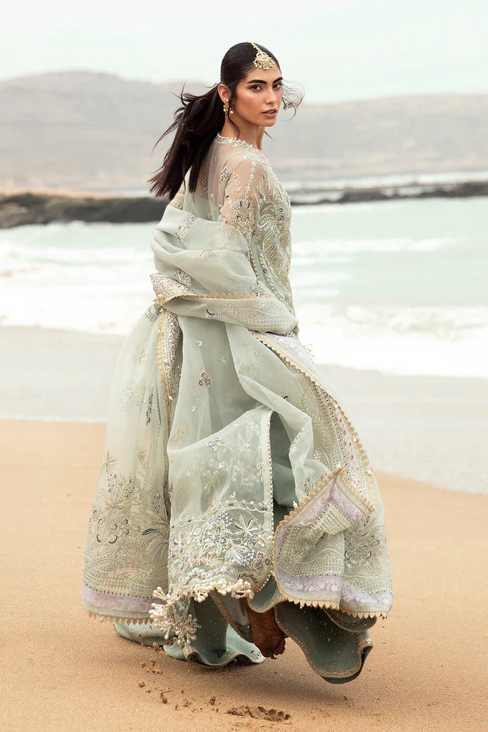 Shanzay - Mirha Collections