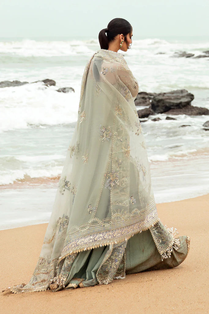 Shanzay - Mirha Collections