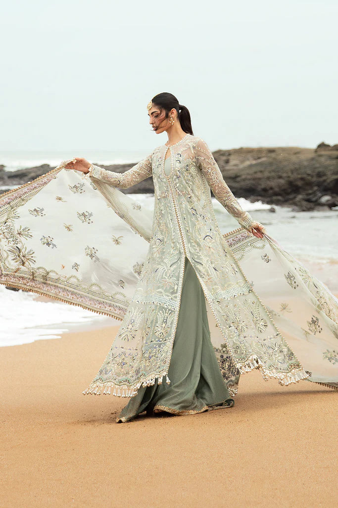 Shanzay - Mirha Collections