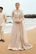 Shahnoor - Mirha Collections
