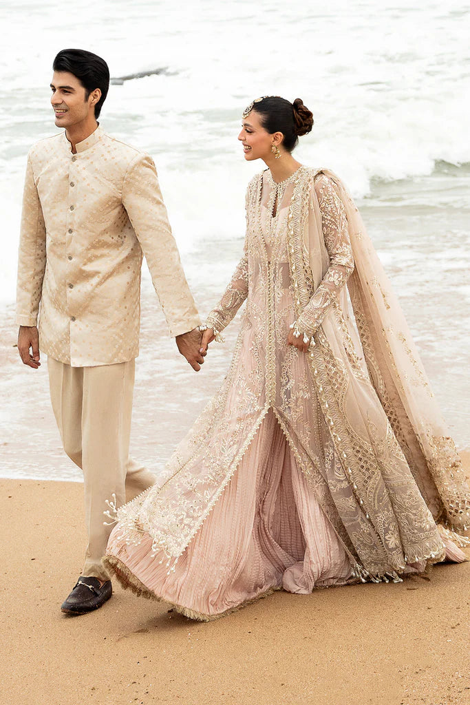 Shahnoor - Mirha Collections