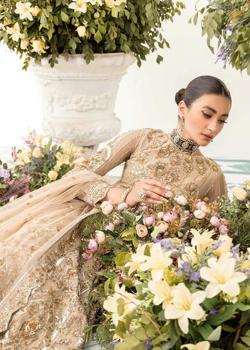 Akbar Aslam | Orphic Bridals | Noviristic - House Of Anaya