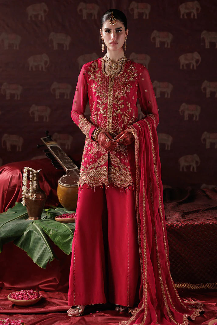 Saad Shaikh - D-01