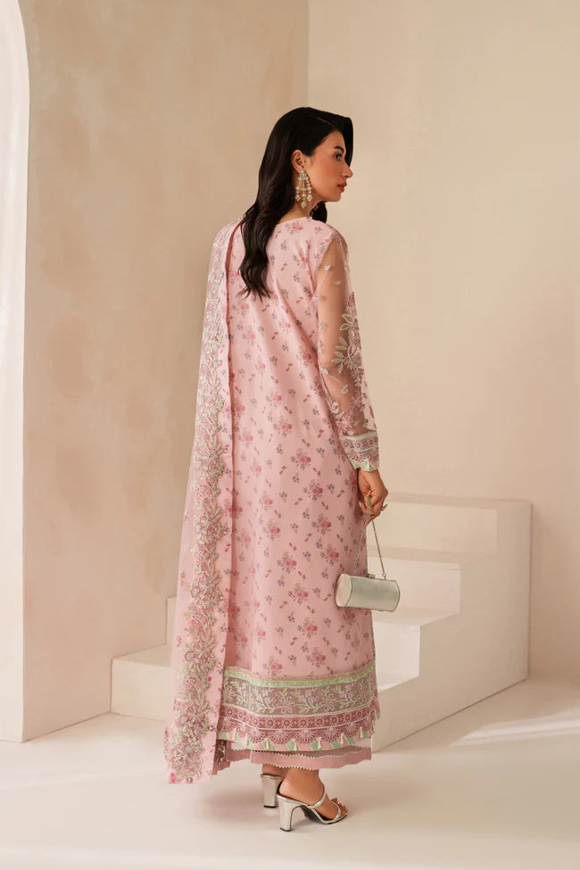 Xenia - ASHAL - Mirha Collections