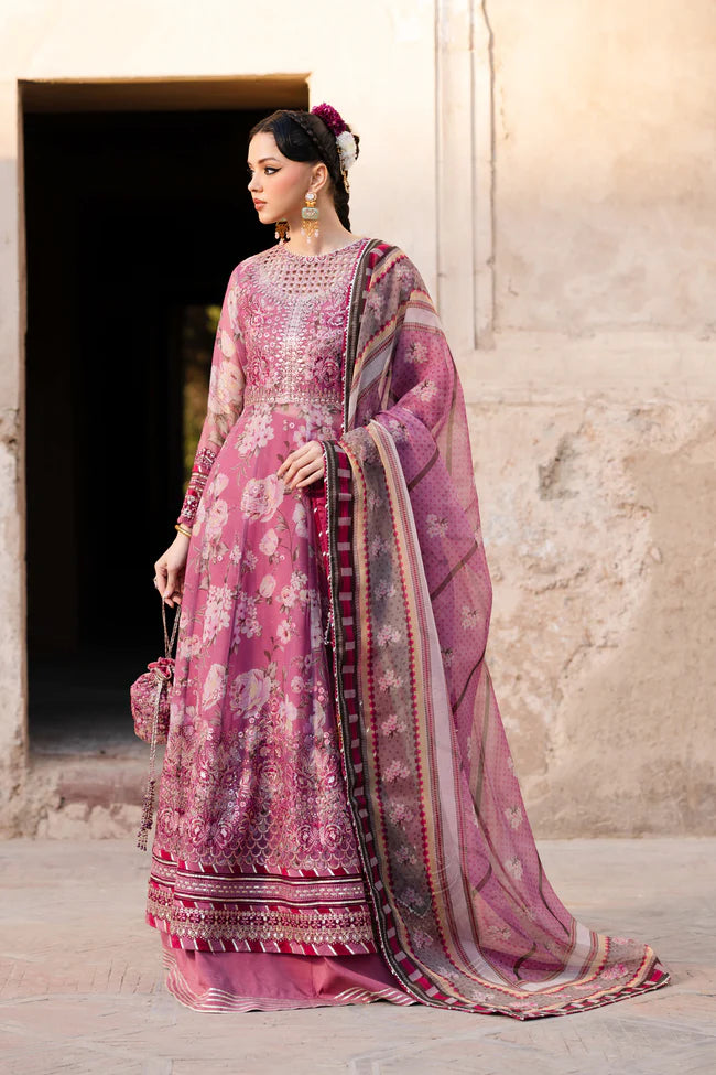 Xenia - BANO - Mirha Collections