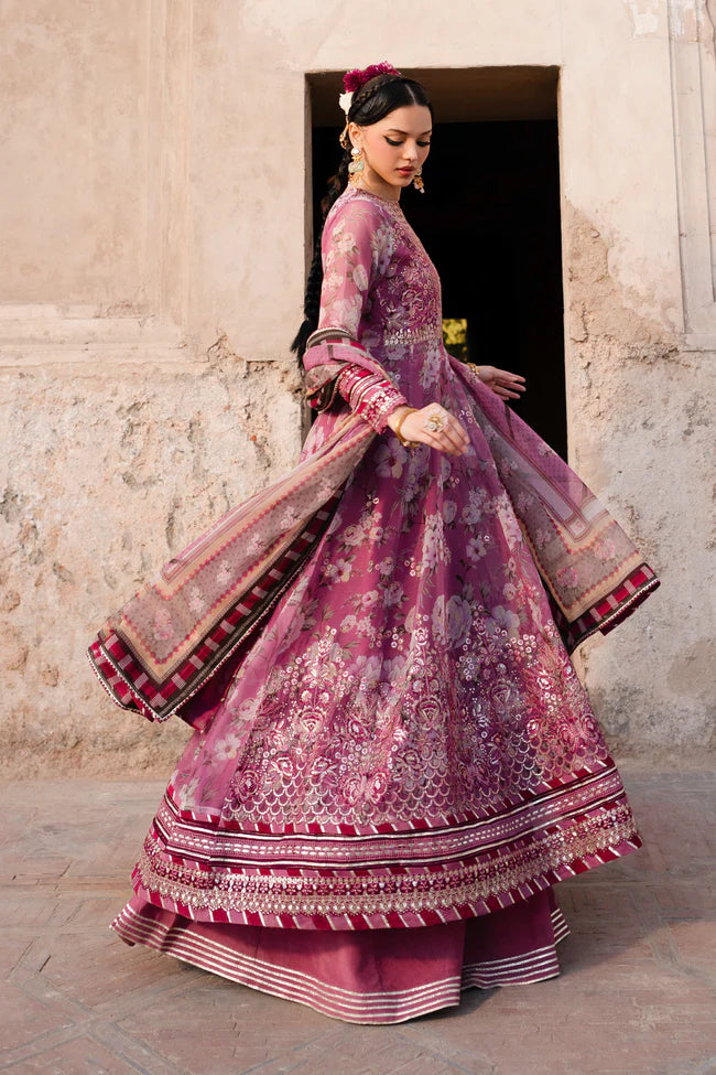 Xenia - BANO - Mirha Collections