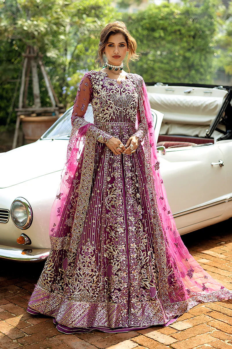 Mushq - Starstruck Elegance