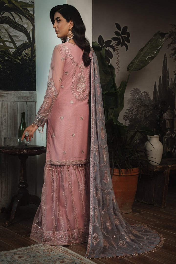 ZARIF - ZLR 03 BLOOM - Riwayat-e-khas