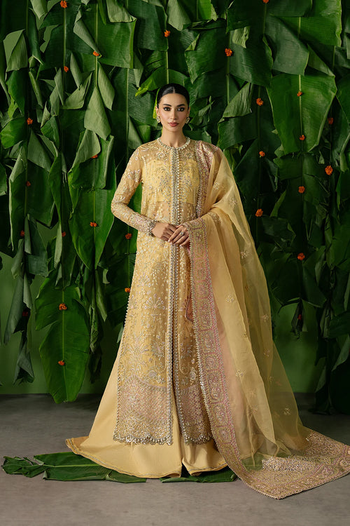 Ayzel - Chahat - Mirha Collections